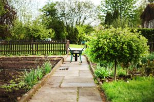 Jak urzadzić mały ogródek przed domem