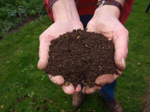 dlaczego warto przygotowywać kompost